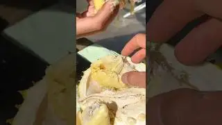 Durian in Costa Rica ! The KING of fruits 💚 #food #farm #tropical