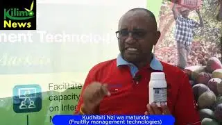 Integrated Pest Control || method 3: Combined Technique || FRUIT FLY MANAGEMENT || ICIPE