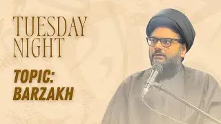 Eve of 11th Jamaadi Ul Aakhar 1447  - Tuesday Night - Barzakh P2 - Sayed Imran Taqawi