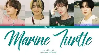 NCT U (엔시티 유) &ndash; Marine Turtle (Korean Version) (Han/Rom/Eng Color Coded Lyrics)