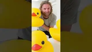 Rubber Ducky, You&rsquo;re the One &ndash; Do You Take a Bath or a Shower?