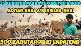 adnan 35 kabuter pakra I rshad 17 kabuter pakra | adnan bhai V/S rshad bha | 500 kabootar k ladaiyan