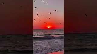 Nature||English Song||When sun down || #nature #realization #life #music #shorts #shortvideo #short