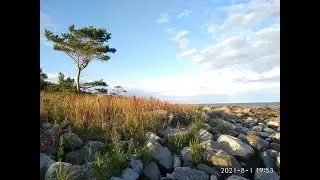 IOTA&RRA 2021, RA1ZZ/P, RA3AV/P