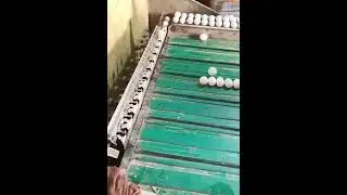Automatic egg size sorting Machine 2022 | Technology  and Innovation 2022 | Innovative zilla #shorts
