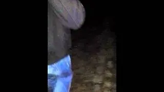 Vogelschreck