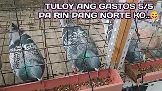 TULOY ANG GASTOS 5/5 PA RIN PANG NORTE KO..😅