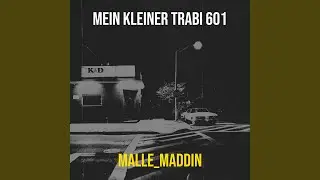 Mein Kleiner Trabi 601