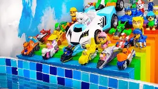 Paw Patrol Toy Collection Unboxing Review | PAW Patrol Car drop in pool