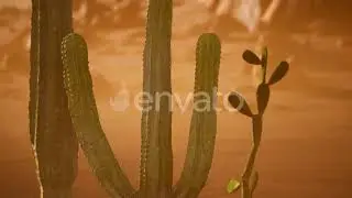 Arizona Desert Sunset with Giant Saguaro Cactus | Motion Graphics - Envato elements