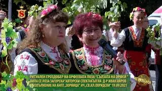 РИТУАЛЕН ГРОЗДОБЕР НА “СЪЛЗАТА НА ОРФЕЙ “-„ВИЛА СЕ ЛОЗА ЗАГОРСКА“ НЧ „СВ.КЛ.ОХРИДСКИ