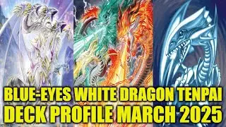 ПРОФИЛЬ КОЛОДЫ BLUE-EYES WHITE DRAGON TENPAI (МАРТ 2025) YU-GI-OH!