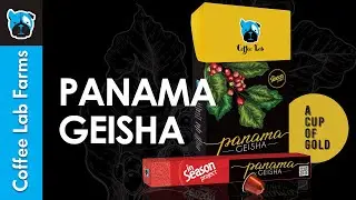 Panama Geisha | Coffee Lab Farms 🌿