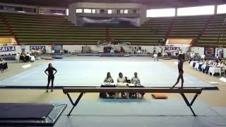 2014 - Arcaju - Trave