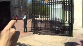 Cambio della guardia a Buckingham Palace