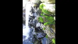 Cr&eacute;ation d'un Bassin de jardin.Paysagiste.Jardiscine.Vend&eacute;e.Cascade. Ch&acirc;teau Guibert
