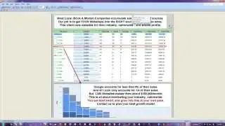Mass Website Generator - Client Results (Part 3 of 3)
