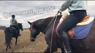 Weekend in Quarantine // Quality horse time