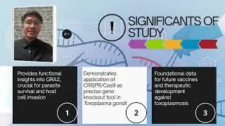 FSG671 | FYP2 VIVA PRESENTATION | DANIAL ASYRAF BIN SALIM