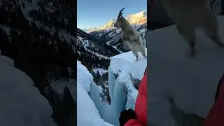 Snow Spray and Sunset Rays During a Wild Jump