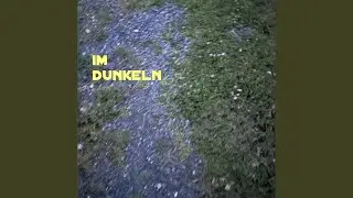 im Dunkeln