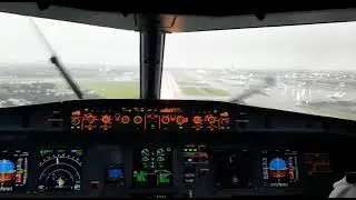 HEAVY RAIN AND FOG : COCKPIT VIEW LANDING #fun #travel #enjoy #automobile #cat #bike #dog #love