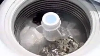 Fisher & Paykel IWL12 Handwash