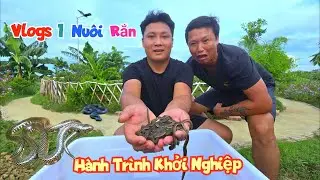 Vlog1. Thử Nuôi 100 Con Rắn Và Hành Trình Khởi Nghiệp Của Mình / Chuyện Của Đại