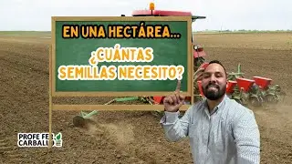 &iquest;Cu&aacute;ntas SEMILLAS necesito para SEMBRAR una HECT&Aacute;REA?