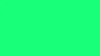 Spring Green Screen 4K HD Quality Video
