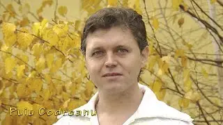 Puiu Codreanu   Tu esti jumatatea mea HIT Live