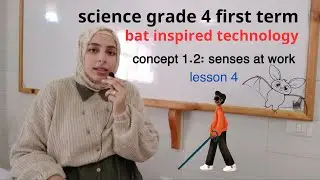 Science Grade 4 Lesson 4 : Technology inspired by nature (Bats)ساينس رابعه ابتدائي 2023- 2024