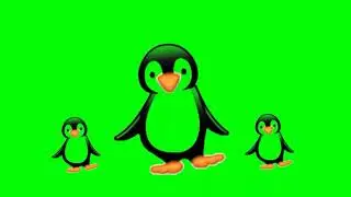 Penguins dance green screen #penguin