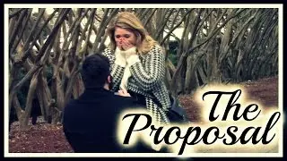 The Proposal