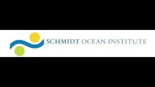 Dive 2 ROV Live Stream Perth Canyon