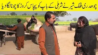 Falak Sher Very Emotional & Short Story Falak Sher Sharmili & jannat By Nouman Tv