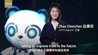 Sci-fi panda: The 2023  World Science Fiction Convention (WorldCon) in Chengdu.