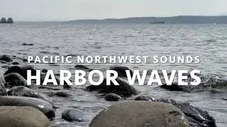 HD Video: In the Rocks, Port Angeles Harbor