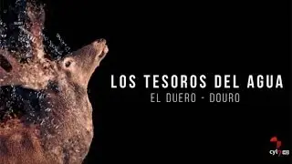 Los Tesoros del Agua (01/ Parte 1).- El manantial de Picos de Urbión: el nacimiento del Duero