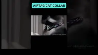 Airtag Cat Collar