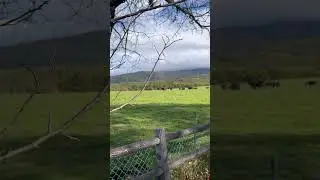 Fazenda linda Nagano