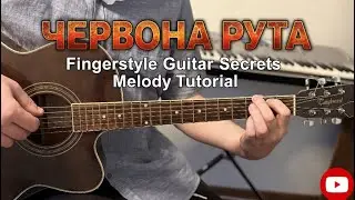 Эту мелодию знают во всем мире! Червона Рута (Fingerstyle Guitar)