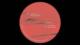 Anthony Linell - Alienation from Self [NE53]
