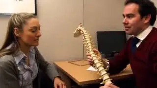 Chiropractors - Morningside Chiropractic