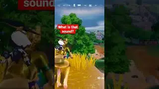What is That Sound? 🤣 #fortniteshorts