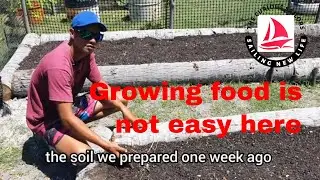 A tour of the Raroia Community Garden Project  | The Curious Sailors