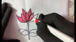 How to Draw Lotus 🪷 Flowers | Symbol of Purity & Peace