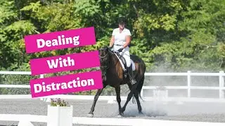 Dealing With A Distracted Dressage Horse