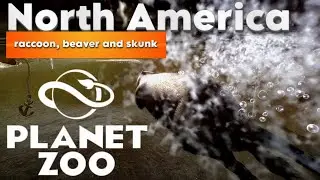Planet zoo. North America. part 2/🐺 raccoon, beaver and skunk🐺 / Вольер для енота и друзей