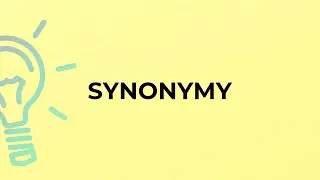 What is the meaning of the word SYNONYMY?